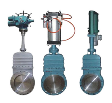 Z.ZQ�����y